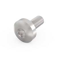 24560-155, Винт TORX E/PRO, (100шт./комплект), Schroff, M4x10